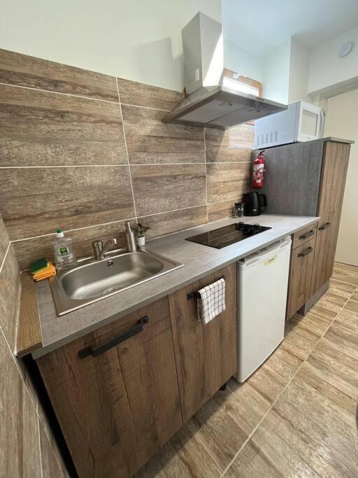 Superbe Appartement A 15 Min De Lyon Saint-Fons Екстер'єр фото